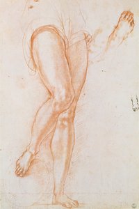Study of a pair of legs and two feet for a figure of St. Michael by Jacopo Pontormo